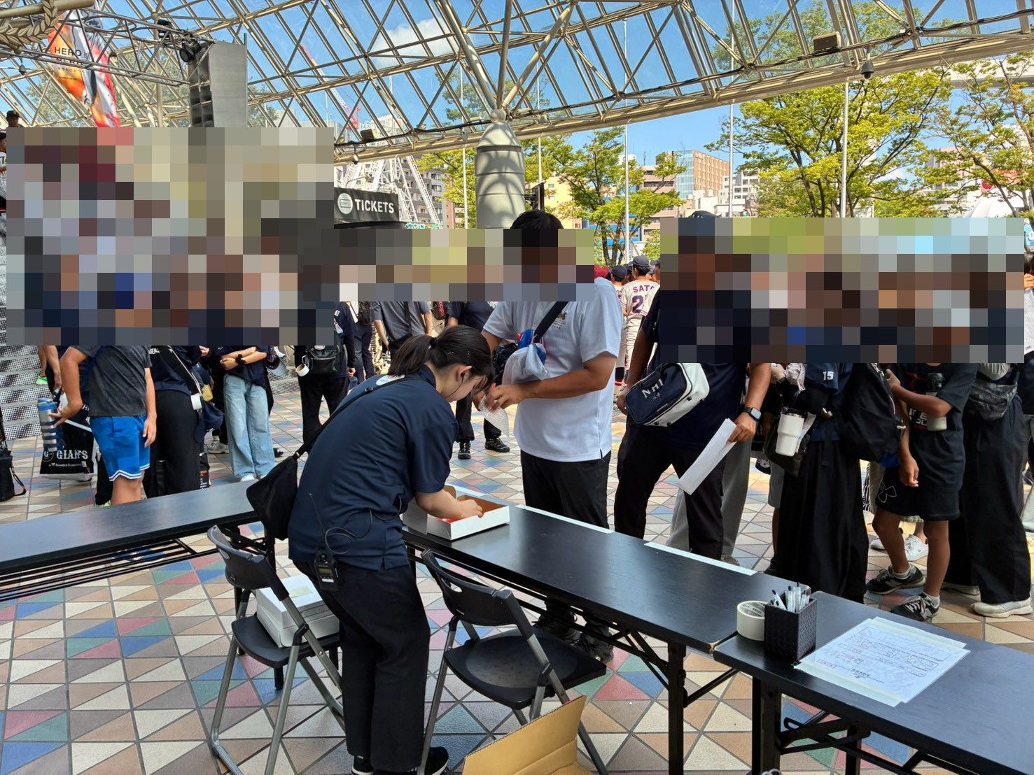 実績